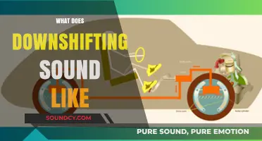 The Unique Engine Roar: Understanding the Downshifting Sound Phenomenon