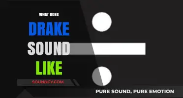Exploring Drake's Signature Sound: A Blend of Rap, R&B, and Emotion