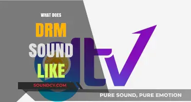 What Does DRM Sound Like? Exploring Digital Rights Management Audio