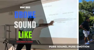 Decoding Drone Noises: What Does a Drone Sound Like?