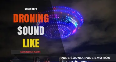 Decoding the Buzz: What Does a Droning Sound Actually Sound Like?