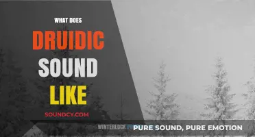 Unveiling the Mystical Tones: What Does Druidic Language Sound Like?