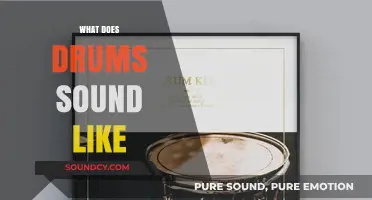 Exploring the Rich, Rhythmic, and Vibrant Sounds of Drums