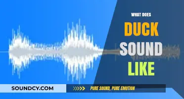 Discovering the Unique Quack: What Does a Duck Sound Like?