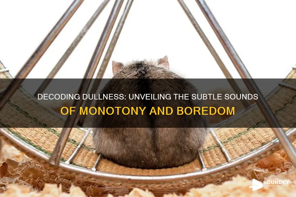 what does dullness sound like