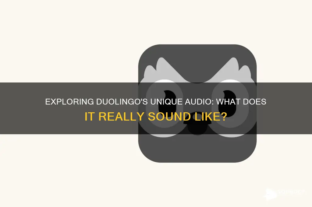 what does duolingo sound like