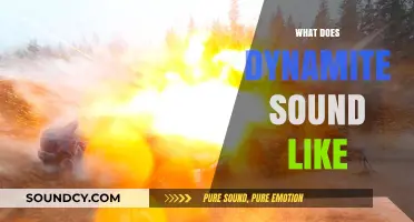 Explosive Insights: Unveiling the Unique Sonic Signature of Dynamite
