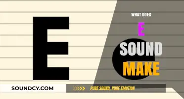 Exploring the E Sound: Phonetics, Pronunciation, and Common Examples