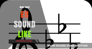 Exploring the Unique Sonic Signature: What Does EB Sound Like?