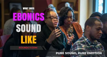 Exploring the Unique Rhythms and Cadences of Ebonics Speech