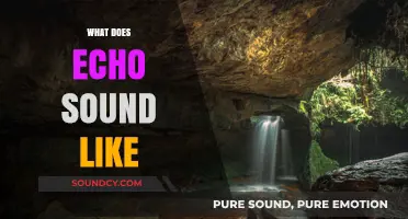 Exploring the Unique Acoustic Qualities of Echoes in Nature and Beyond
