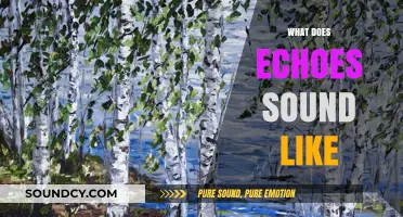Unveiling the Mystique: What Echoes Sound Like in Nature and Beyond
