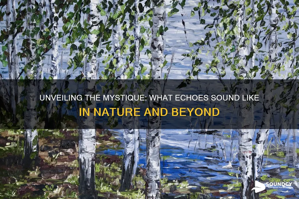 what does echoes sound like