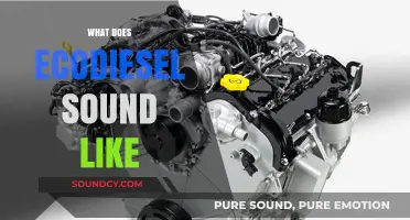 Exploring the Unique Sound of EcoDiesel Engines: What to Expect