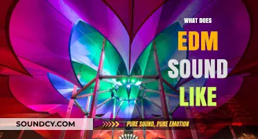 Exploring the Vibrant, Pulsating World of EDM: What Does It Sound Like?