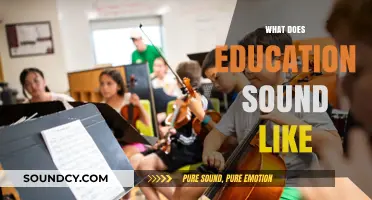 What Does Education Sound Like? Exploring the Symphony of Learning