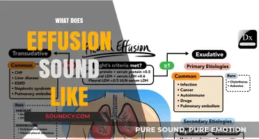 Understanding Effusion: The Unique Sounds of Fluid Movement in the Body