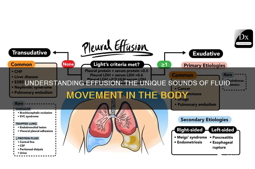what does effusion sound like