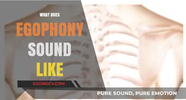 Understanding Egophony: What Does This Unique Lung Sound Actually Sound Like?