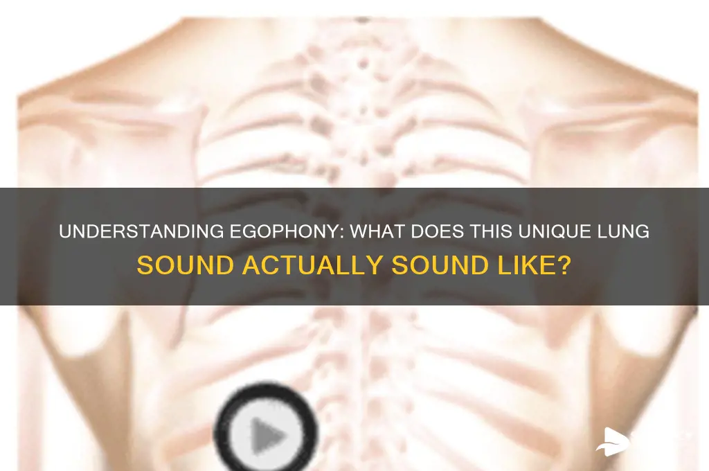 what does egophony sound like