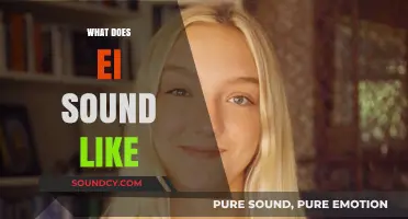 Exploring the EI Sound: Pronunciation, Examples, and Common Misconceptions