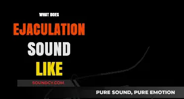 Exploring the Audible Experience: What Does Ejaculation Sound Like?