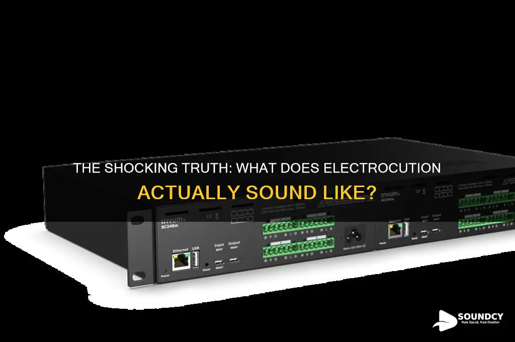 what does electroctuion sound like