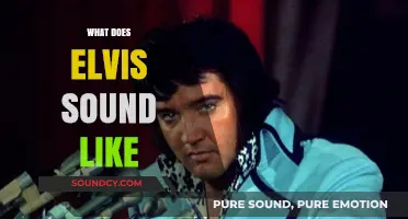 Unraveling Elvis Presley's Iconic Voice: A Sonic Journey Through the King's Sound