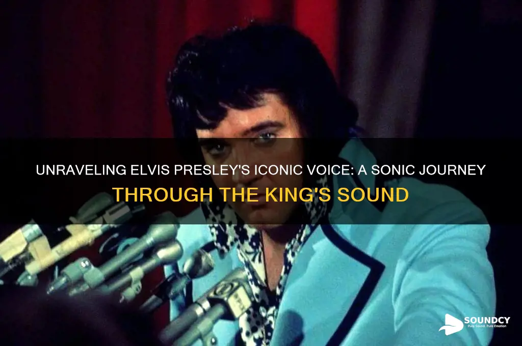what does elvis sound like