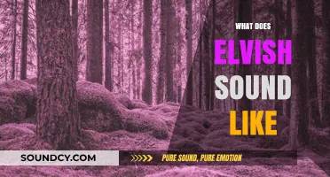 Exploring the Musical Tones and Linguistic Beauty of Elvish Speech