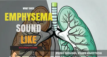 Understanding Emphysema: Identifying the Distinct Sounds of Lung Damage