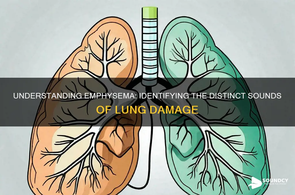 what does emphysema sound like