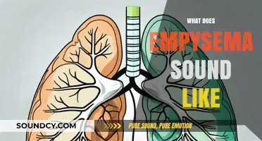 What Does Emphysema Sound Like? Identifying Lung Sounds and Symptoms