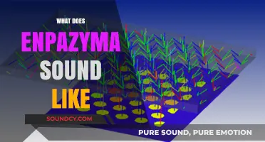 Unraveling the Mystery: What Does Enpazyma Sound Like?