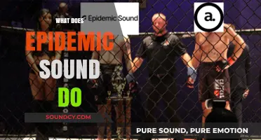 Understanding Epidemic Sound: Revolutionizing Music Licensing for Creators and Brands