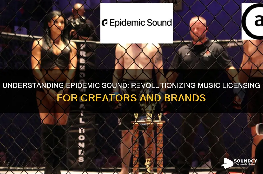 what does epidemic sound do
