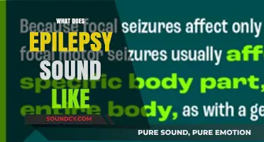 Unveiling Epilepsy's Auditory Clues: What Does a Seizure Sound Like?