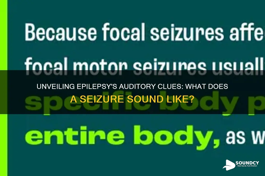 what does epilepsy sound like
