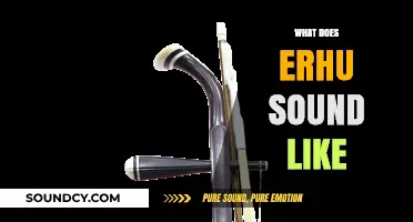 Discover the Unique, Soulful Sound of the Traditional Erhu Instrument