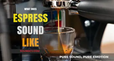The Sonic Experience: Unveiling the Unique Sounds of Espresso Brewing