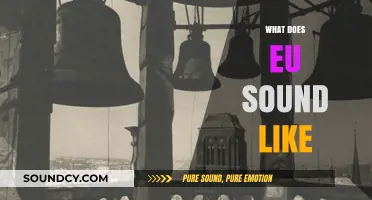 Exploring the Unique Soundscape: What Does the EU Sound Like?