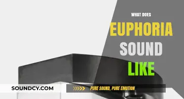Decoding Euphoria's Sonic Signature: A Journey Through Sound and Emotion