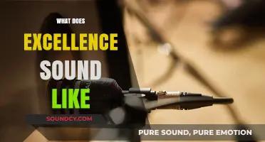 What Does Excellence Sound Like? Unveiling the Audible Markers of Mastery