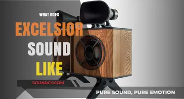 Exploring the Sonic Essence: What Does Excelsior Sound Like?