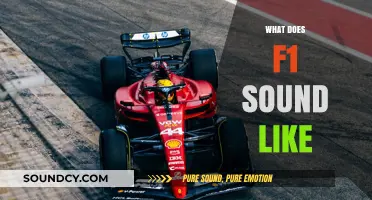 Experience the Roaring Symphony: What Does F1 Sound Like?