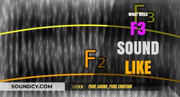 Exploring the Unique Sonic Signature: What Does F3 Sound Like?