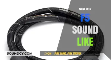 Unveiling the Sonic Mystery: What Does F5 Sound Like?