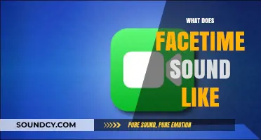 What Does FaceTime Sound Like? Exploring the Audio Experience