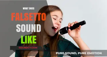 Understanding Falsetto: A Unique Vocal Technique and Its Distinct Sound