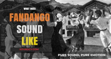 Exploring the Unique Rhythms and Melodies of Fandango's Signature Sound